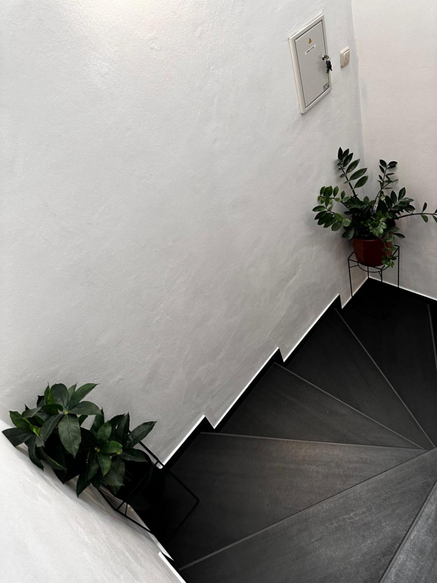 Apartmán Divine *
